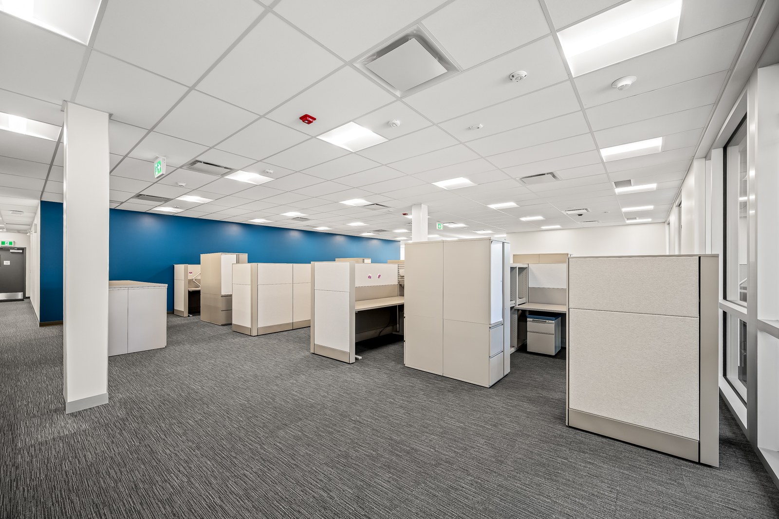 BC Hydro Courtenay office with suspended ceiling, white partitions and a blue feature wall