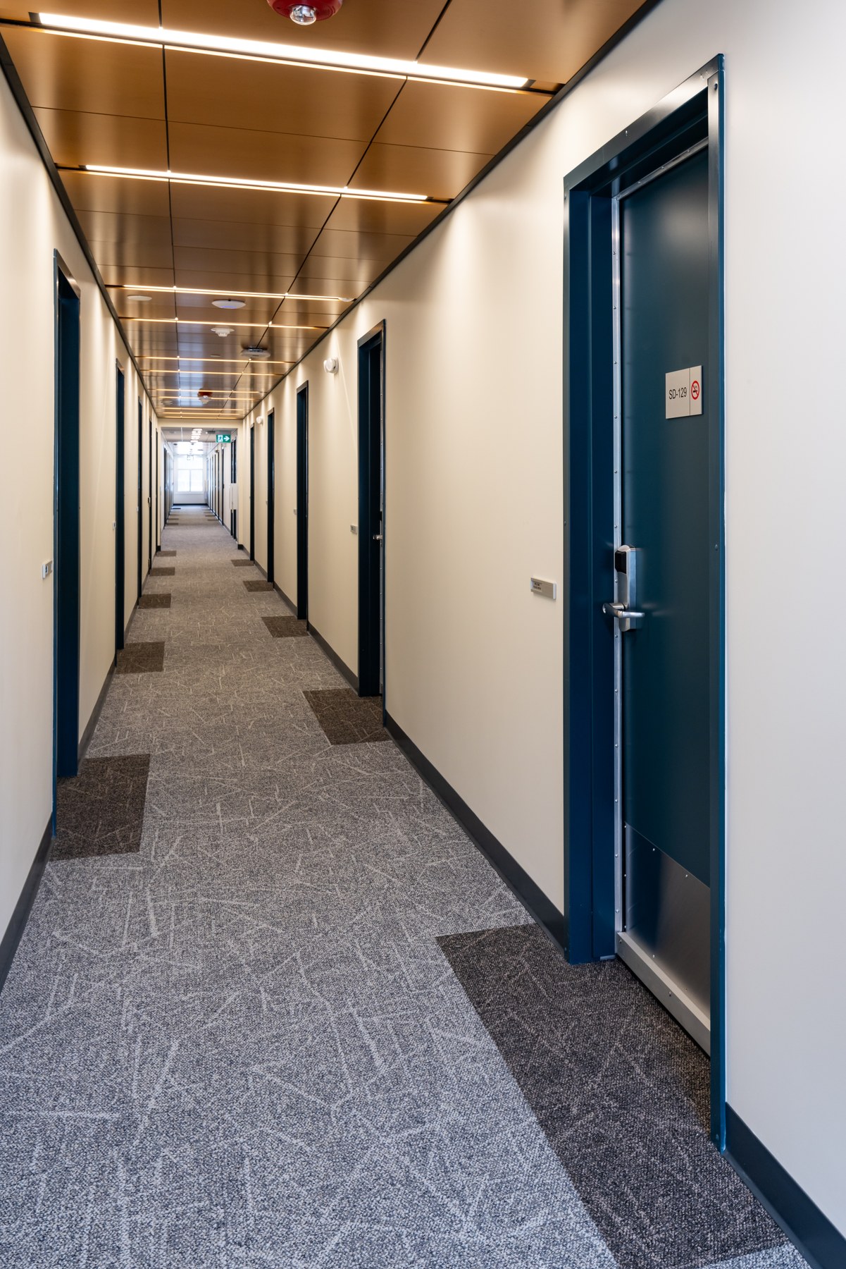 Finished corridor with timber ceiling and blue doors at BC Hydro Mica Creek Dorms
